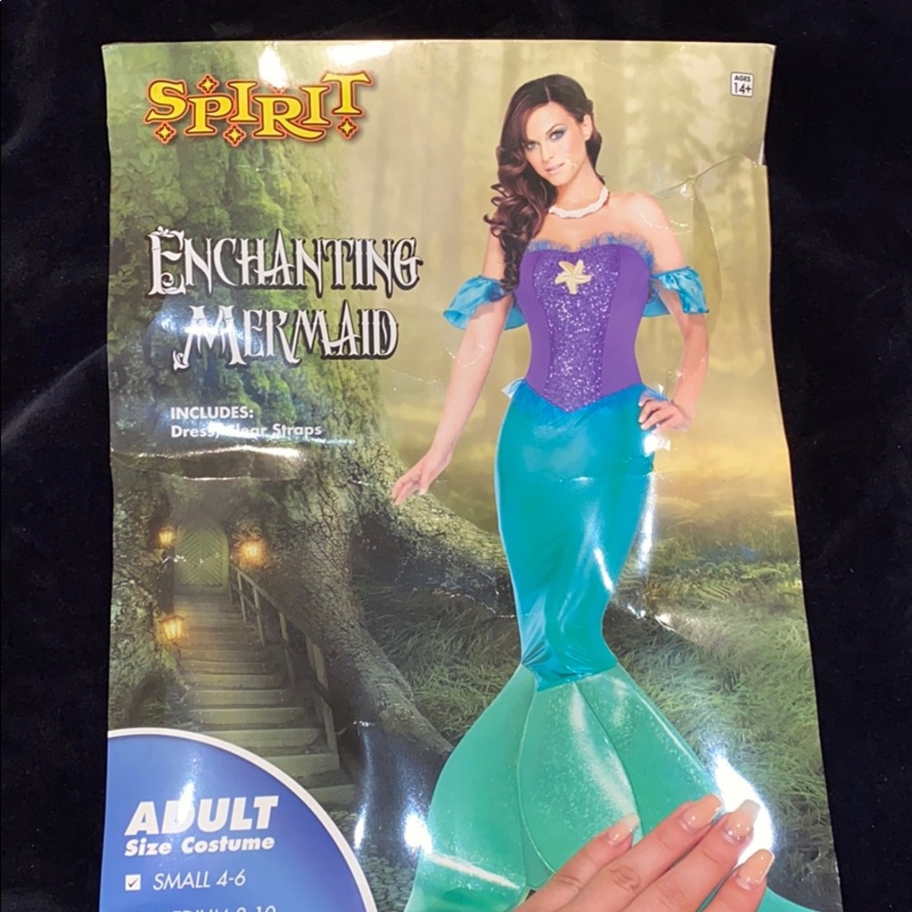 Mermaid Costume